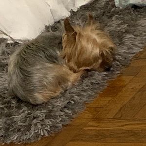 Meet your Posher, Tyler